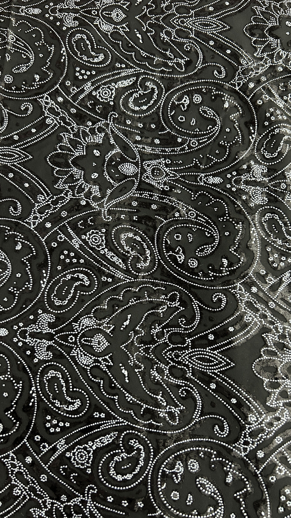 Luxe Black Paisley Burnout Fabric
