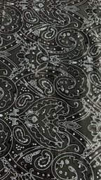 Luxe Black Paisley Burnout Fabric