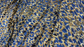 Animal Abstract